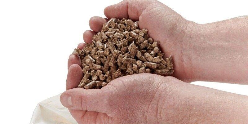 A close-up of a man's cupped hands filled with Flame Genie Premium Hardwood Pellets.