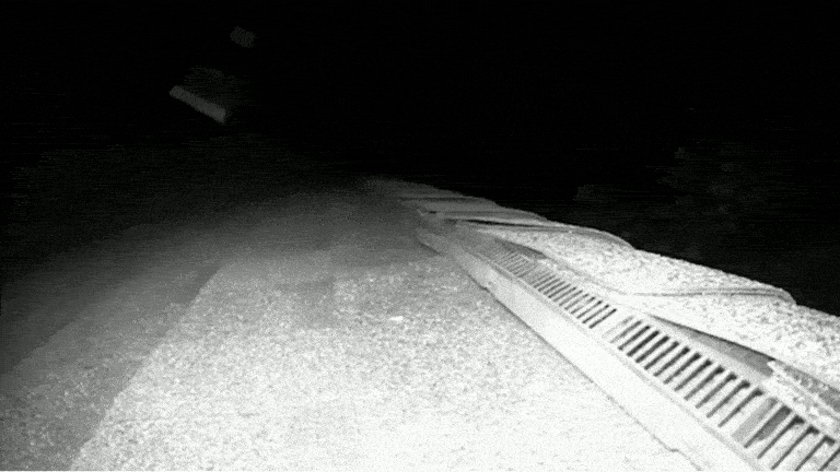 A black and white GIF of a bat accessing an attic through a roof vent at night.