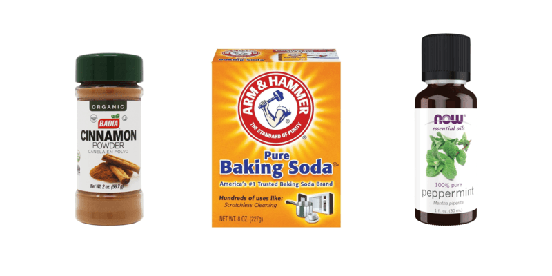 A container of cinnamon, a box of Arm & Hammer baking soda, and a bottle of peppermint oil side-by-side against a white background.