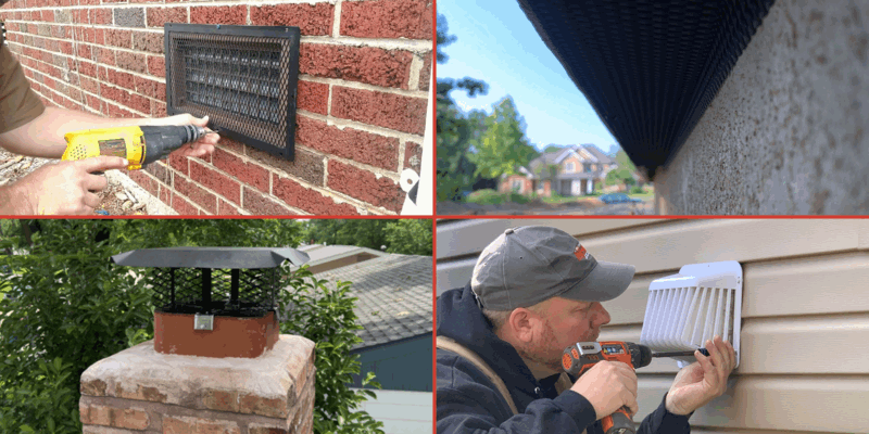 A four-panel image of a foundation vent screen, a Pest Armor guard, a chimney cap, and a dryer vent cover.