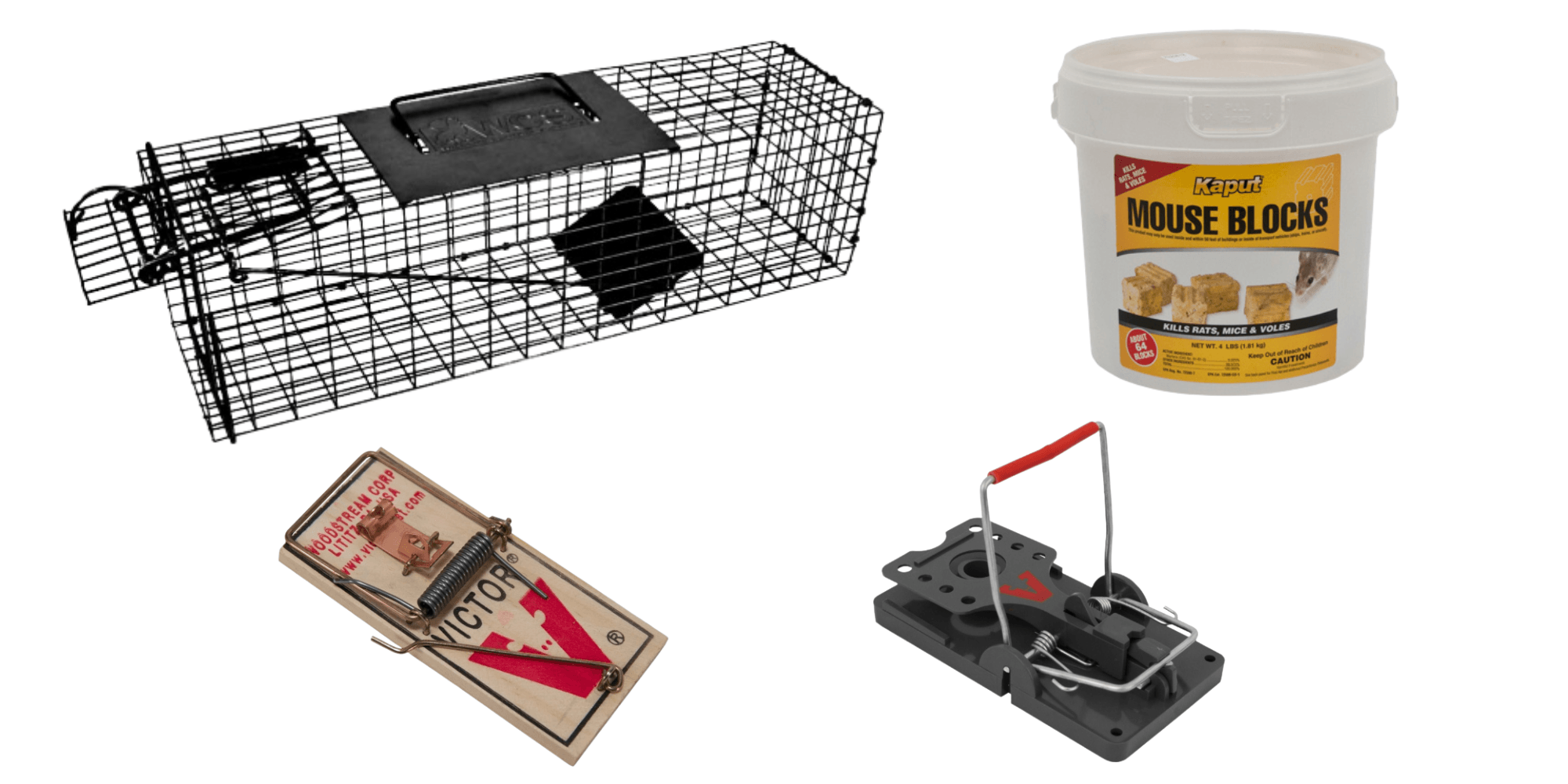 A set of rat infestation solutions displayed against a white background. There's a cage trap, two snap traps, and a bucket of rodenticide.