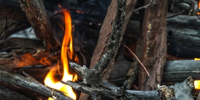 A closeup on a pile of wood kindling. There is a small flame within the pile struggling to stay alight.