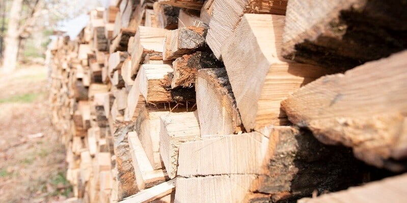 A closeup of a long line of dried, seasoned firewood. The wood is resting on the grass near the edge of some woods.